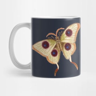 Butterfly Eyes wings Mug